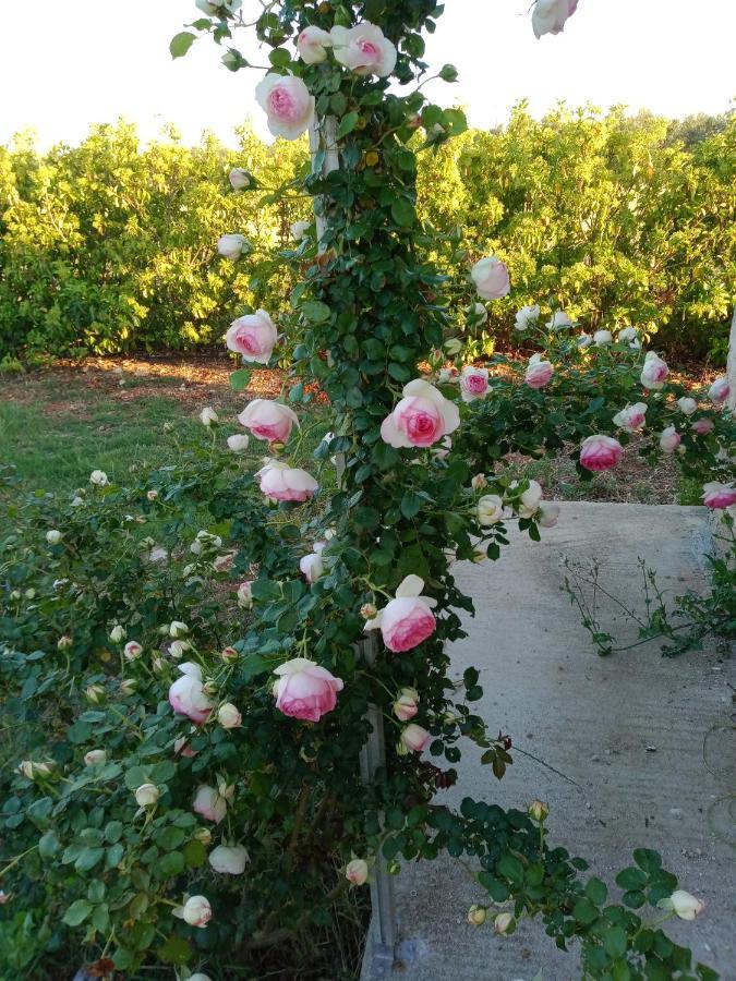 Il Giardino Dei Tramonti Bed and Breakfast Nardò Εξωτερικό φωτογραφία